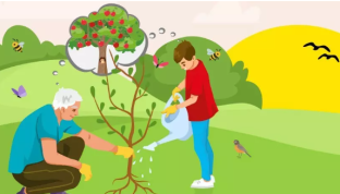Jeu concours de la sainte Catherine 2025