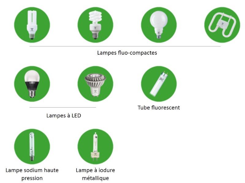 Types d'ampoules