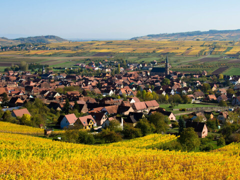 Westhalten